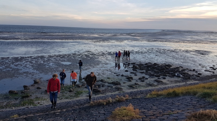 Kampus Vlieland organiseerde duurzame en inspirerende teamdagen voor Enviu Kampus Vlieland organiseerde duurzame en inspirerende teamdagen voor Enviu